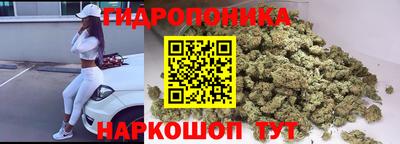 a pvp Бердск