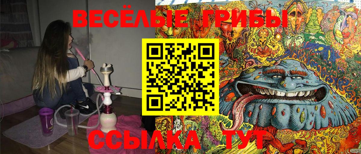 Галлюциногенные грибы GOLDEN TEACHER Вольск