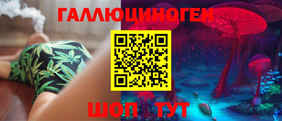 Псилоцибиновые грибы Cubensis  где купить наркоту  Галлюциногенные грибы Magic Shrooms  Вольск  Вход с VPN 